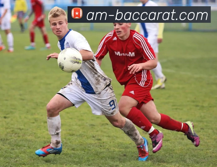 App Interface Preview